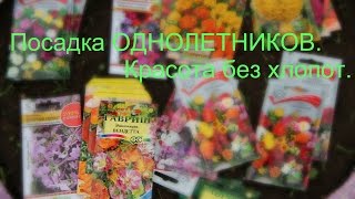 100% способ! И вы будете с цветами!