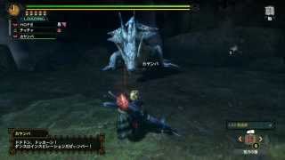 【MH3G HDver.】ラギアクルス亜種 ヘビィボウガン　4:18