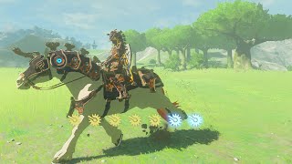 Zelda: Breath of the Wild - Ancient Saddle and Bridle Locations (EX Ancient Horse Rumors)