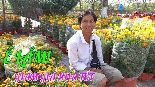 Bến Tre ngày nay|Chợ Hoa Bến Tre 30 tết đồng loạt giảm giá vì sợ hoa ế
