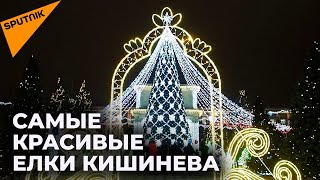 Самые красивые елки Кишинева - от классических до футуристичных