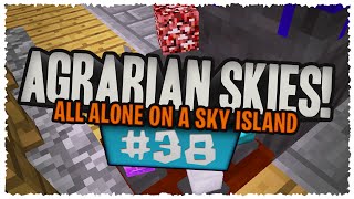 Agrarian Skies (Modded Skyblock) - "I Have The Power....To Make Iridium!" (EP38)