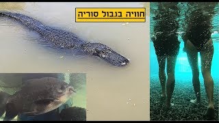 אמאלה תנין - מצאנו לנו איפה לדוג - סרטון חוויתי | O.M.G CROCODILE