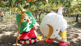 「むすび丸の【伊達な旅】日記」蔵王町果物狩り編