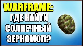 Warframe: Где найти Солнечный Зерномол? Как узнать день на планете или ночь?