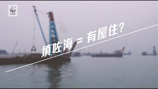 填海真係解決房屋問題嘅靈丹妙藥？