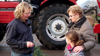 Boer Pieter Koonstra zamelt kerstbomen in voor stalstrooisel