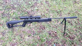 SHOTING CROSMAN 
DESTROY 1.77 CAL PELLETS OUT OF CROSMAN FIRE NITRO PISTON PELLET RIFLE