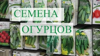 Семена Огурцов. Подготовка к проекту. (02.12.16)