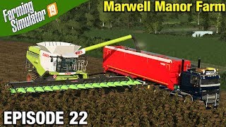 SUNFLOWER HARVESTING Farming Simulator 19 Timelapse - Marwell Manor Farm FS19 Episode 22