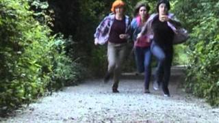 Harry Potter and the Deathly Hallows Part 2 Trailer Spoof