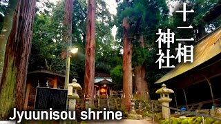 【4本！巨大杉の御神木】見ると開運11分～十二相神社(滋賀)バーチャル参拝2020年版