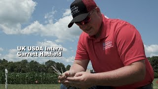 Garrett Hatfield USDA Intern defoliation study