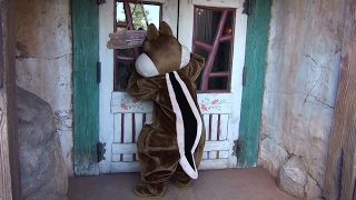 【TDL】デールはチップのグリーティングが終わるまで暇なようです【クリッターカントリー】