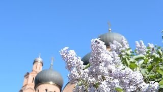 Монастырь Святые Кустики. Архиерейское служение 2014
