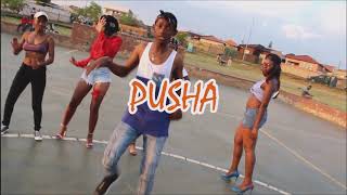 Sharking Dibless - Pusha (Official Music Video)