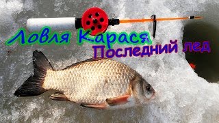 Ловля карася весной. Последний лед. Рыбалка на карася по последнему льду.