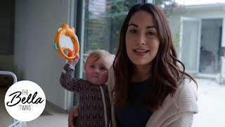 Birdie's FIRST BIRTHDAY party wish list!