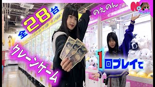 クレーンゲーム28台全1回やってみた！のえのん編（エブリデイとってき屋東京本店）【のえのん番組】