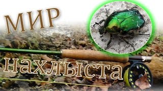 Вяжем зелёного жука на голавля - Мир нахлыста