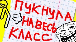 24 СМЕШНЫХ И УПОРОТЫХ ЗАМЕЧАНИЙ В ШКОЛЬНЫХ ДНЕВНИКАХ. С веселым котом Джемом! ?