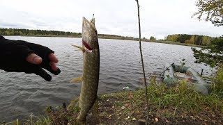ЩУКА НА РЕЗИНКИ !!! МАКА !!! Часть 2