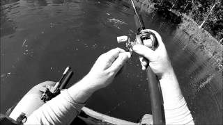 Strike king Rage Tail Craw