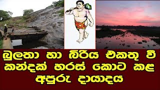 බුලතාගේ විස්කම් පෙන්වන බින්තැන්නේ අපුරු දායාදය | Bulatha Yodaya | sorabora wawa