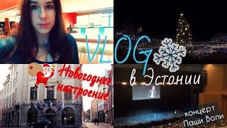VLOG в Эстонии, концерт ПАВЛА ВОЛИ☆ Новогоднее путешествие