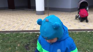 Видео и фото шапки шлема Beezy мишка зима