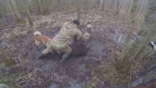 Охота на кабана с Лайками!Рыбалка и Охота видео 2016
