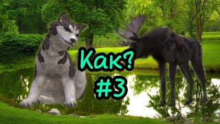 Лайфхак#3 Как быстро накопить много монет в Wild Craft?