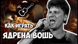 СЕКТОР ГАЗА - ЯДРЕНА ВОШЬ (аккорды на гитаре) - Играй, как Бенедикт! Выпуск №22