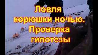 Ловля корюшки ночью  Проверка гипотезы