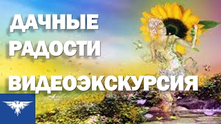 Наша дача. Посмотри как можно устроить нашу дачу