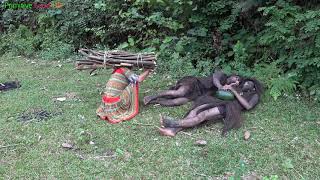 Primitive life - Ethnic girl goes to get firewood and meets forest people