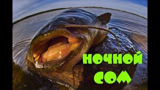 РЫБАЛКА С НОЧЁВКОЙ НА СОМА! (р. ДОН)