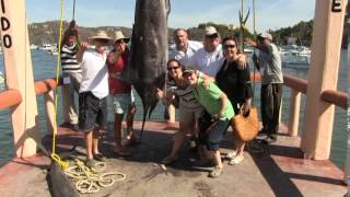 31° Torneo Internacional de la Pesca del Pez Vela 2014 Ixtapa - Zihuatanejo