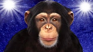 CHIMPANZÉ DE L'ESPACE! | Chimbot FR