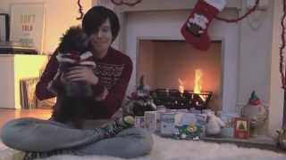 PHIL AND A PUPPY