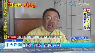 20200126中天新聞　台南走春！　六甲「落羽松」　拍照打卡超美
