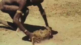 African Tribes Hunting Amazon Planet and Tribes Ethnics Culture African Scret Tribes