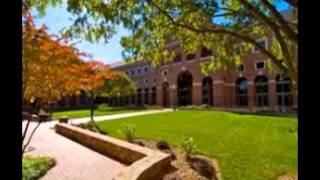 Online Bachelor Degree|MBA Programs| Business School Rankings| Business Degree|Distance Learning