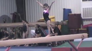 4 year old gymnast-level 2