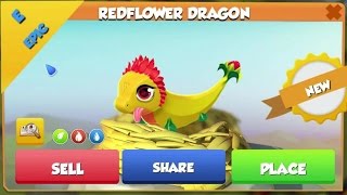 REDFLOWER DRAGON Hatching + Heroic Mode Fights! - Dragon Mania Legends #502