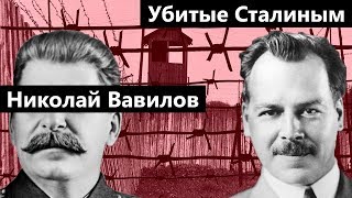 Убитые Сталиным | Николай Вавилов