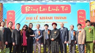 Bong lai linh tu