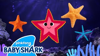Shooby Dooby Starfish | Sea Animals Song | Baby Shark and Sea Animals 