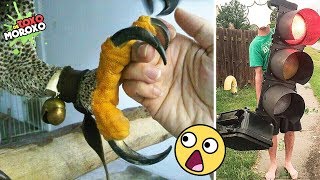 7 Cosas que son mucho mas grandes de lo que crees | DeToxoMoroxo