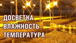 ДОСВЕТКА, ВЛАЖНОСТЬ, ТЕМПЕРАТУРА В ТЕПЛИЦЕ ДЛЯ РАССАДЫ ТОМАТОВ И ОГУРЦОВ (30-11-2018)
